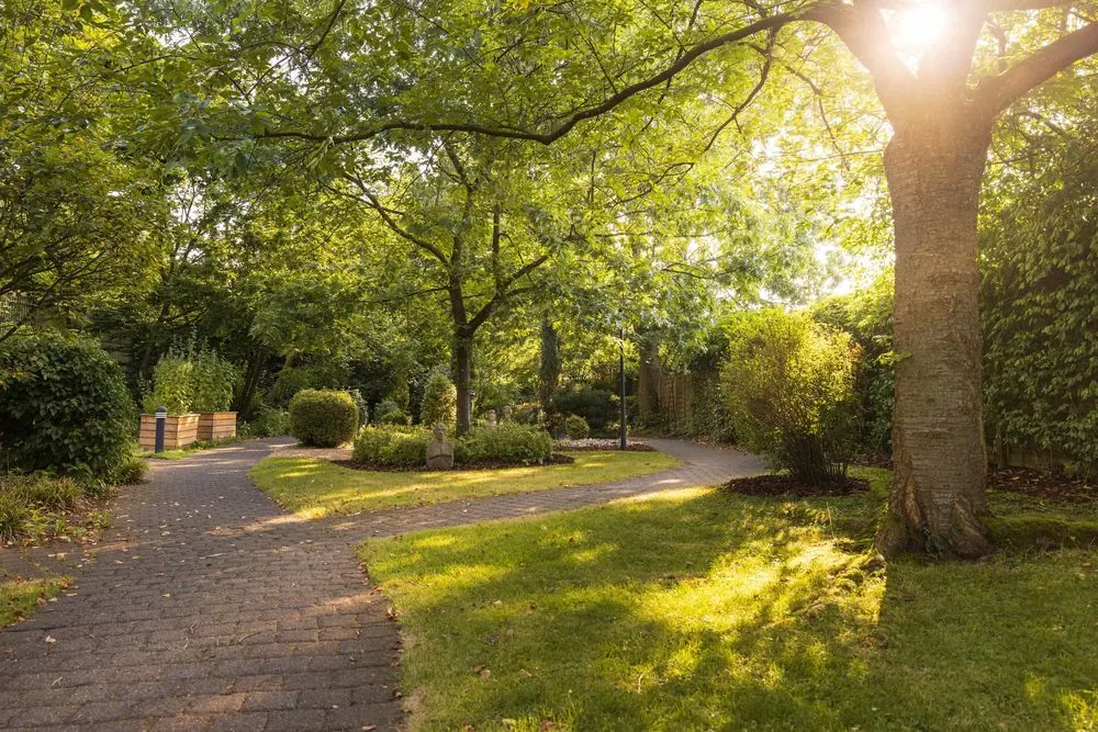 Sauna Park 10 – Saunalandschaft im Grünen: Luftaufnahmen mit der Drohne, Saunainnenräu