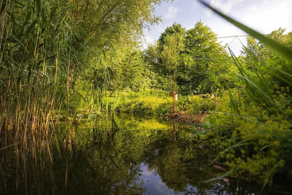 Sauna Park 11 – Saunalandschaft im Grünen: Luftaufnahmen mit der Drohne, Saunainnenräu