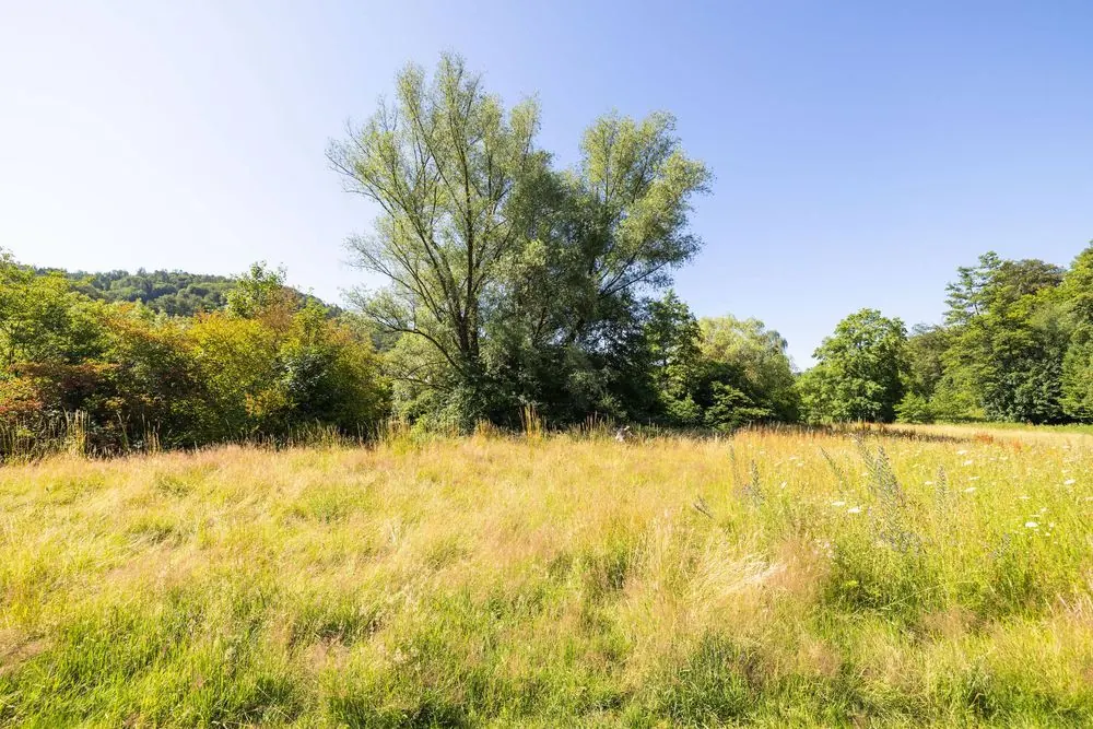Seniorenheim 8 – Seniorenwohnanlage am Fluss: Drohnenaufnahmen, Gartenanlage und Gebäud